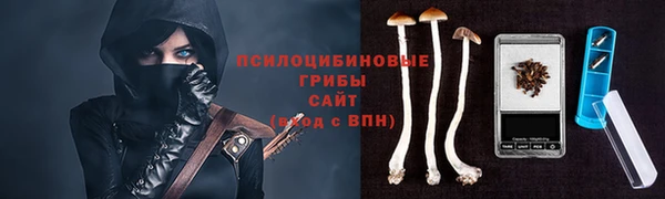 МДПВ Алзамай