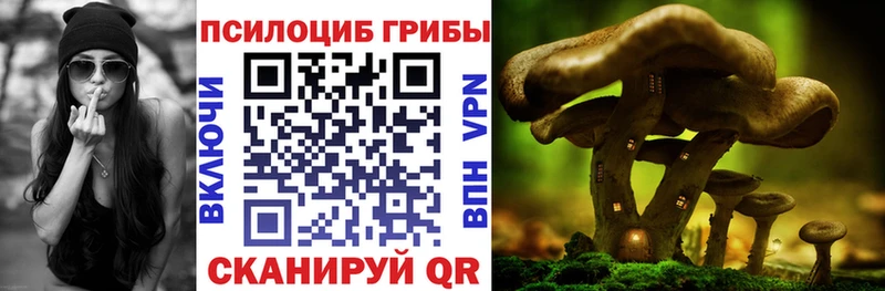 Псилоцибиновые грибы Psilocybe Избербаш