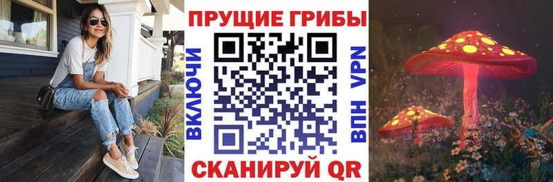 Псилоцибиновые грибы прущие грибы сколько стоит Избербаш