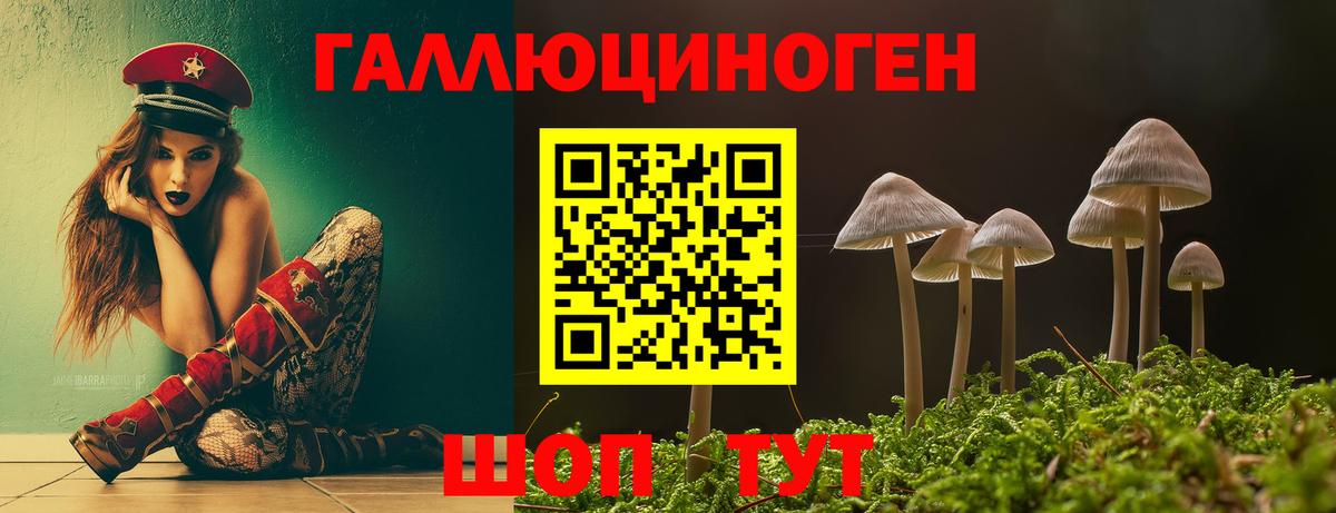 Избербаш  Псилоцибиновые грибы Cubensis  Вход с VPN 