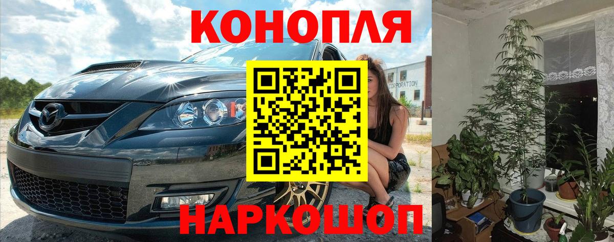 Бошки марихуана OG Kush Избербаш